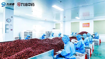 政府搭桥破融资难题 企业获贷启发展新篇