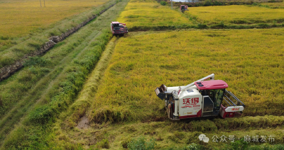 麻城：科技助力 实现从田间到车间的无缝对接