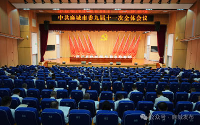 中共麻城市委九届十一次全体会议举行