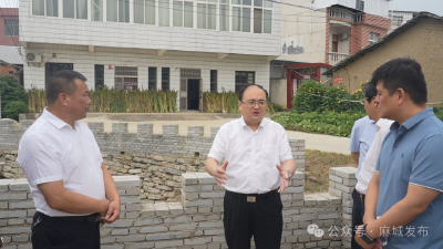 科学施策 系统治理 打造农村污水治理“麻城样板”