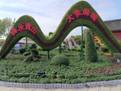 麻城福白菊亮相第十五届中国菊花展览会