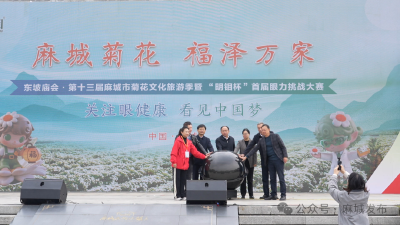 以菊为媒  以赛促产  以文兴旅