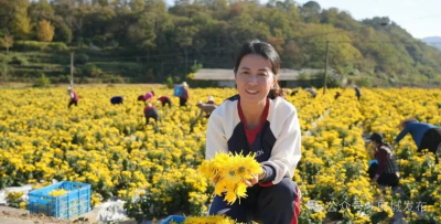 【民生大视野】麻城扎实推进农民技术人员职称申报工作