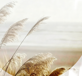 11月的麻城，你好🤝