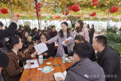 麻城“议事沙龙”汇智基层治理 提炼可推广“麻城方案”