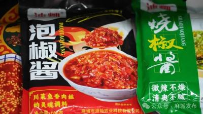 【项目一线】夫子河镇：飘香酱料调出幸福生活好味道