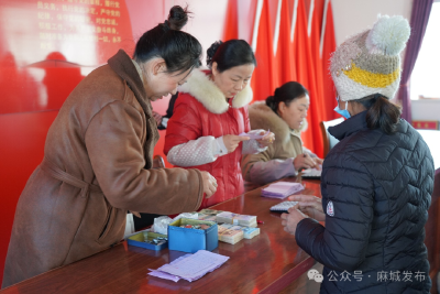 “企业+农户”十年同心：麻城菊田盛开“致富花”