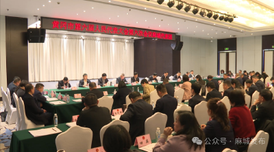 直通黄冈两会 | 张社教参加麻城代表团审议