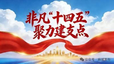 【非凡“十四五” 聚力建支点】麻城：医心守护 以“精准服务”织就健康之城