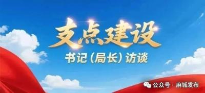 【支点建设书记（局长）访谈】⑭建功支点展宏图，石材转型踏新途——专访麻城市产业发展服务中心党组书记、主任 夏志青
