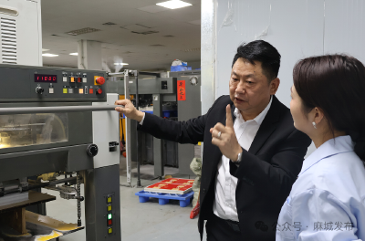 【天下麻城人】张敏：一纸印春秋 初心系麻城