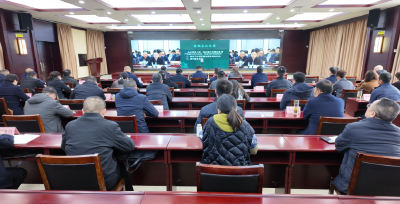 凝聚发展合力 以金融高质量发展服务全市现代化建设