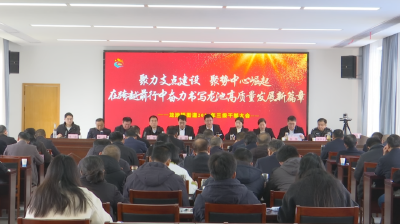 龙池桥街道：聚力支点建设 聚势中心崛起