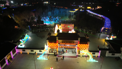 信安菊香人家8天营收70万元