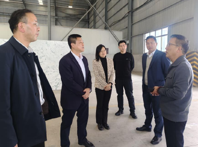 湖北省再担保集团到麻城担保公司调研