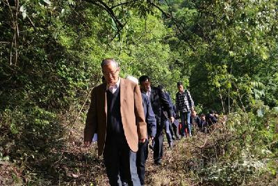 抓住“一带一路”新机遇推动五峰茶转型升级