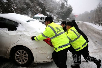 冰雪中，“荧光绿”散发出浓浓暖意[图]