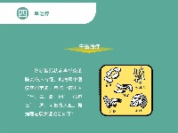 【传染病防治法】四早