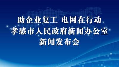 【直播】2020年“助企业复工  电网在行动”新闻发布会
