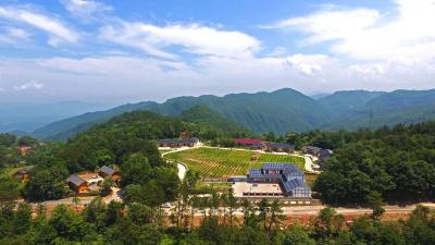 【“三在“工程看实干支书】高山之巅的守望者——百井村党支部书记陈勇