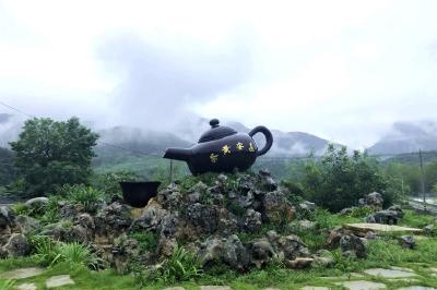 【“三在”工程看实干支部】 鹿溪河畔话振兴 ——记旧县镇鹿苑村党支部
