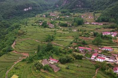 【“三在”工程·看实干支书 】山旮旯的拓路人——王雄