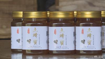 【聚焦精准扶贫】凤阳村的“甜蜜路”
