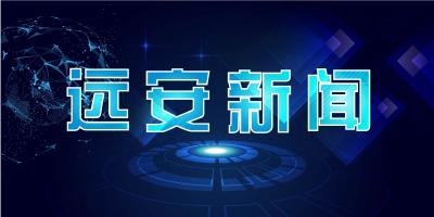 【视频】凤阳村的“甜蜜路”