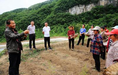 花林寺镇：助企服务让营商环境更有“温度”