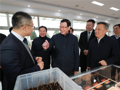 应勇赴宜昌调研五中全会精神贯彻落实情况