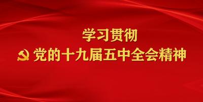 习近平：关于《中共中央关于制定国民经济和社会发展第十四个五年规划和二〇三五年远景目标的建议》的说明