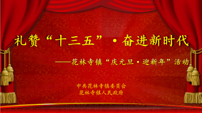 “礼赞‘十三五’·奋进新时代”花林寺镇“庆元旦·迎新年”活动