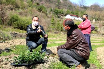 【三峡日报】5000农民凭技术增收千万元