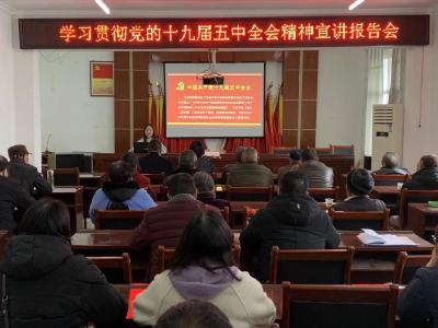 【学习贯彻党的十九届五中全会精神】远安2400名扶贫队员进村宣讲五中全会精神