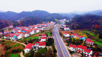 【学习贯彻党的十九届五中全会精神】远安：“小微权力”进笼子 基层治理提效能