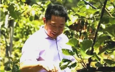 【扶贫攻坚先锋谱④】白云深处“拓路人” ——记茅坪场镇白云村党支部书记王运红