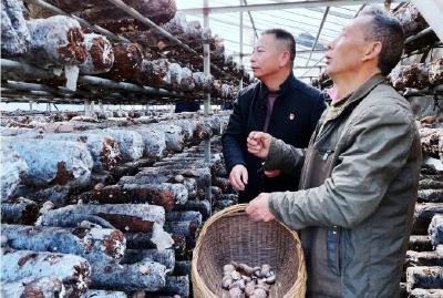 【扶贫攻坚先锋谱⑦】小山村驻着好“亲戚” ——记县纪委监委驻茅坪场镇长荣村工作组