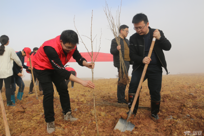 党员下沉“显身手”  义务植树“添新衣”