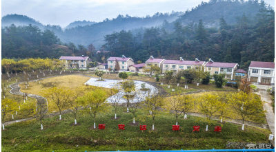 花林寺镇获评2020年全省村庄清洁行动先进单位