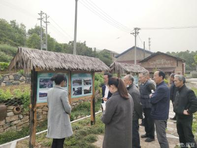 河口乡：人居环境再提升  绘好“生态绿”图景