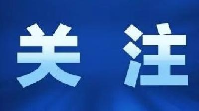 【创建全国文明城市】致鸣凤城区养犬居民的一封信