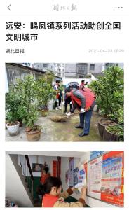 【创建全国文明城市】远安：鸣凤镇系列活动助创全国文明城市（湖北日报客户端）