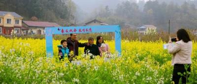 八方游客聚远安 ，共赏百花迎春到！