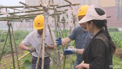 【创建全国文明城市】县栖凤城投公司：规范城区已征待建土地管理  助力全国文明城市创建