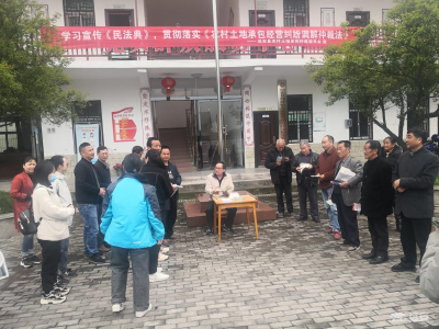 洋坪镇：学史力行  与典同行   开展《民法典》知识宣传行动