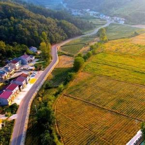 【学党史 明初心】远安：传承红色基因 共建美丽家园