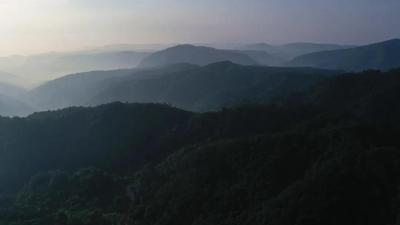 宜昌真秀美 | 跟我来！带您走进远安大堰原始森林