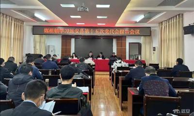 【聚焦党代会】嫘祖镇迅速掀起学习宣传贯彻党代会精神热潮 