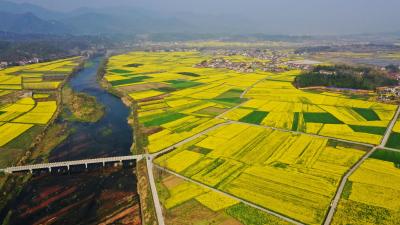 纵横当有凌云笔——远安勇当全省山区县高质量发展新标杆