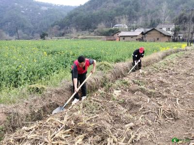 茅坪场镇：党员干部助春耕  为民办事我先行